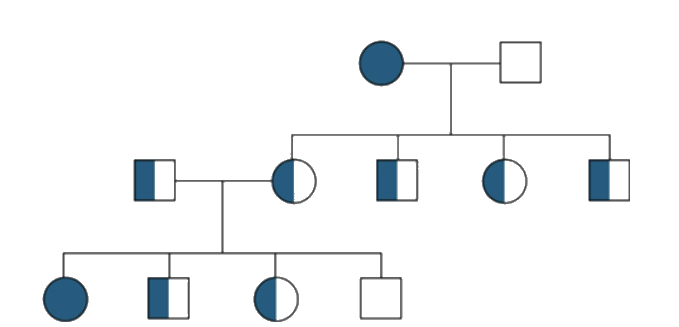 The given pedigree chart shows the Inheritance of which of the following Mendelian disorders ?