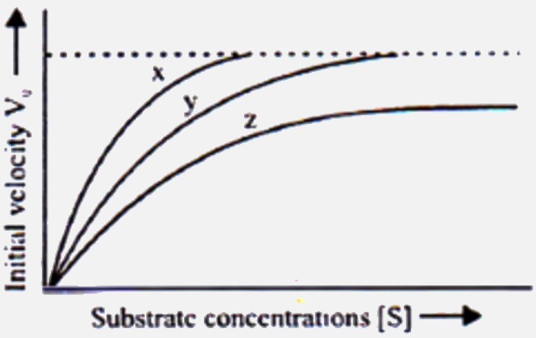 The Given figure shows three velocity-substrate  concentration curves of an  enzyme reaction. What do the curves X Y and Z depict  respectively ?