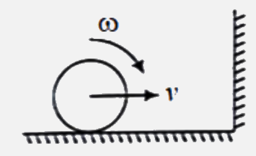 A ball having  velocity v towards the  right and having angular velocity clockwise approaches the wall. It collides elastically with wall and moves towards the left . Ground and wall are frictionless. Select the correct statement about the angular velocity of the  ball after the collision .