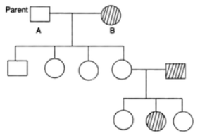 Given pedigree shows inheritance of autosomal recessive gene. What is the genotype of given parents ?
