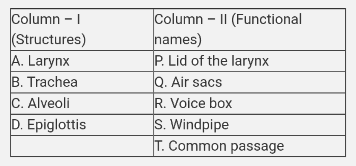 Match the structure listed under column -I with the functional names given under column - II , choose the answer which gives the correct combination of the alphabets of the two columns .