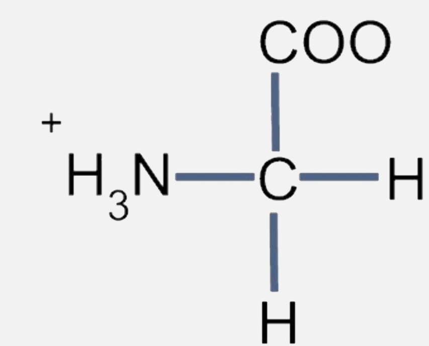 Identify the amino acid represented in the diagram below.