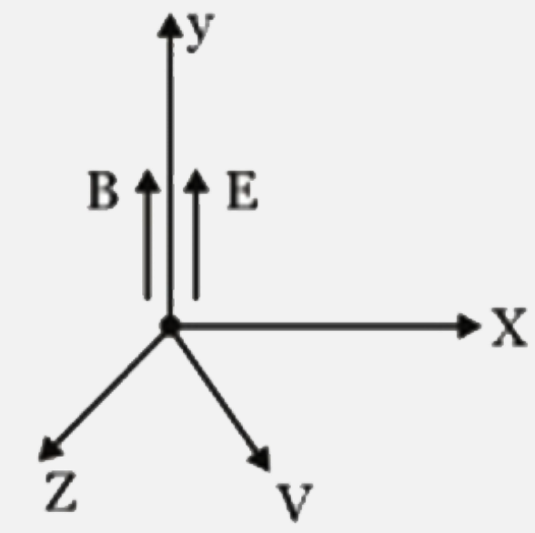 A positive charge particle having change q and mass m has velocity vecv = v((hati+hatk)/sqrt2)  in the magnetic field B at the origin . Its speed as the function of y is :