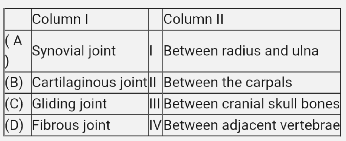 Match the column I with column II :