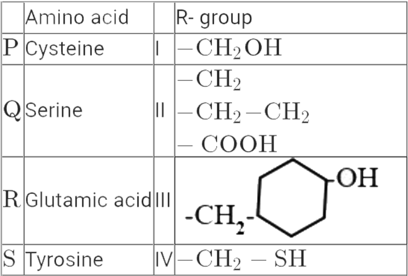 Match the amino acid with its correct R group .
