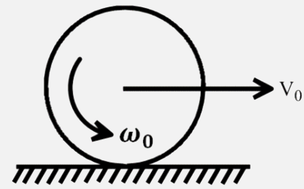 A disc of the radius R is spun to an angular speed omega0 about its axis and then imparted a horizontal velocity of magnitude (at t = 0) with its plane remaining vertical. The coefficient of friction between the disc and the plane is mu . The sense of rotation and direction of its linear speed are shown in the figure . Choose the correct statement.