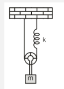 A system shown in the figure consists of a massless pulley, a spring of force constant k displaced vertically downwards from its equilibrium position and released, then the Period of vertical oscillations is