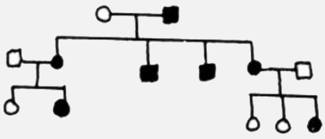 In the given pedigree, indicate whether the shaded symbols indicate dominant or recessive allele.