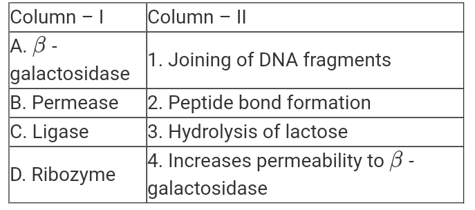 Match the enzyme in column I with its function in column II and choose the correct option.