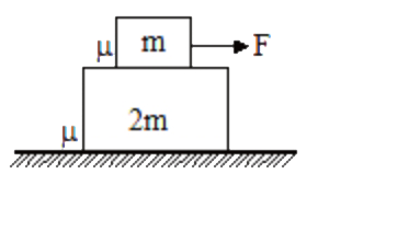 The system of two  blocks is at rest an shown in the figure. A variable Horizontal force is applied to the upper block. The maximum possible constant force exerted by the horizontal ground surface on the lower block is  ( coefficient of friction for both  the  contracts is mu )