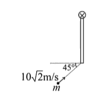 A smooth rod of mass m is free to rotate about one of its end. A particle of same mass strikes the other end of the rod perfectly inelastically with 10sqrt(2)ms^(-1) velocity as shown. What will be speed of the particle after collision?