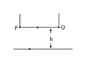 A long straight wire carrying current of 20A rests on a table (as shown in figure). Another wire PQ of length 2m, mass 2.0g carries the same current but in opposite direction. The wire PQ is such that it can slide freely up and down. The height upto which PQ rises is .............................(in cm) (Take g=10ms^(-2))