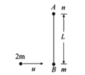Two small balls A and B, each of mass m, are joined rigidly at the ends of a light rod of length L. They are placed on a frictionless horizontal surface. Another ball of mass 2 m moving with speed u towards one of the ball and perpendicular to the length of the rod on the horizontal frictionless surface as shown in the figure. If the coefficient of restitution is 1/2 then the angular speed of the rod after the collision will be