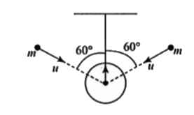 A bob of mass 10 M is suspended through an inextensible string of length I. When the bob is at rest at the equilibrium position, two particles of mass m each moving with velocity u making an angle 60° with the string strike and get simultaneously attached to the bob. What is the value of impulsive tension (Jtension) be string during the impact?