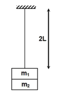 From a fixed supoort O, hangs an elastic string of negligible mass and natural length L. Masses m(1) and m(2) attached at the lower end, elongate the string to 2L. When m(2) is removed gently m(1) is able to bounce back to O. The ratio m(2)//m(1) is (asume that the string does not obstruct the motion of m(1))