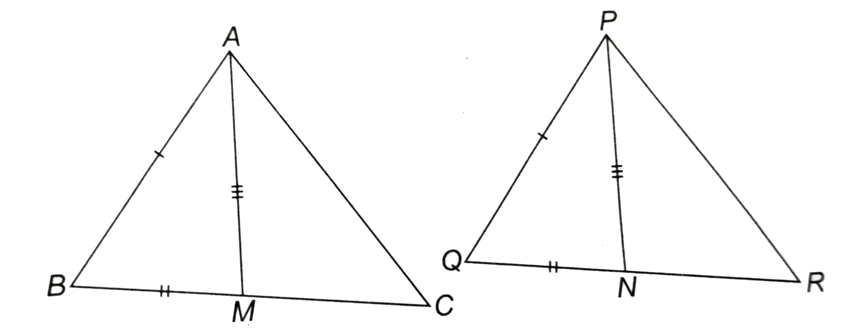 एक त्रिभुज ABC की दो भुजाएँ AB और BC तथा माध्यिका AM और PN क्रमशः एक-दूसरे त्रिभुज की भुजाओं PQ और QR तथा माध्यिका PN के बराबर है (देखिए आकृति) दर्शाइए कि :      (i) DeltaABM~=DeltaPQN   (ii) DeltaABC~=DeltaPQR