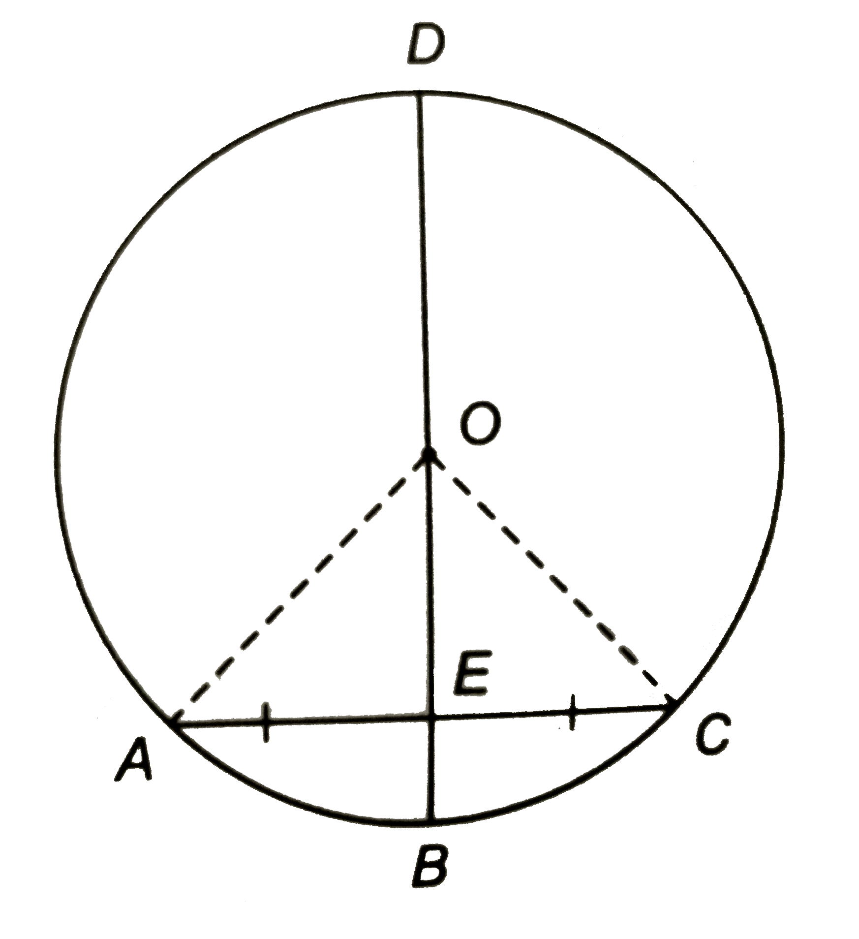 संलग्न चित्र में BD वृत्त का व्यास है जो जीवा AC को E बिन्दु पर समद्विभाजित करता है | यदि AC = 8 सेमी, BE = 2 सेमी, तो वृत्त की त्रिज्या ज्ञात कीजिए |