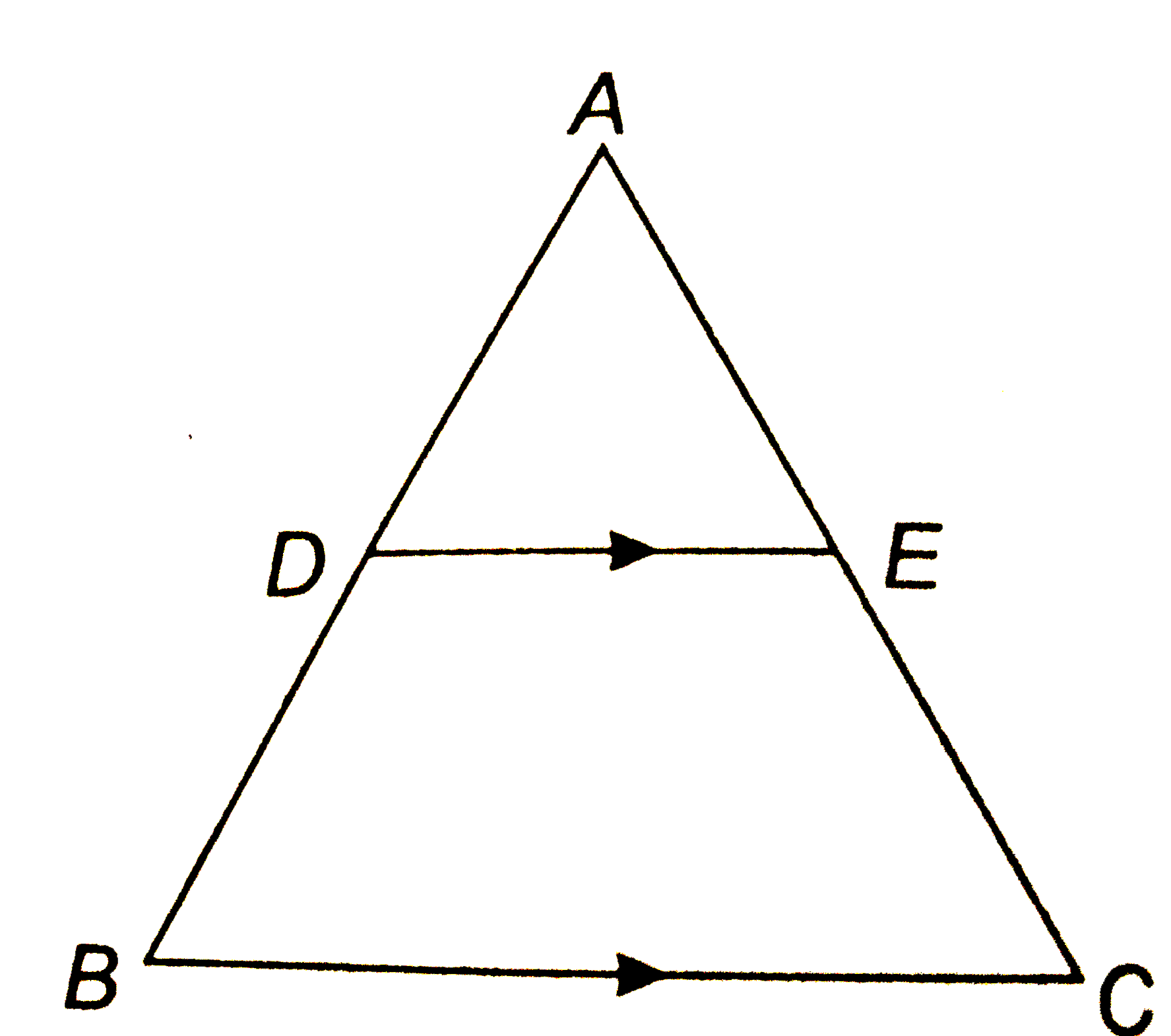 संलग्न चित्र में , बिन्दु D , AB को  3:5 में विभाजित करता है ज्ञात कीजिये    (i) (AE)/(EC)  (ii) (AD)/(AB)   (iii) (AE)/(AC)