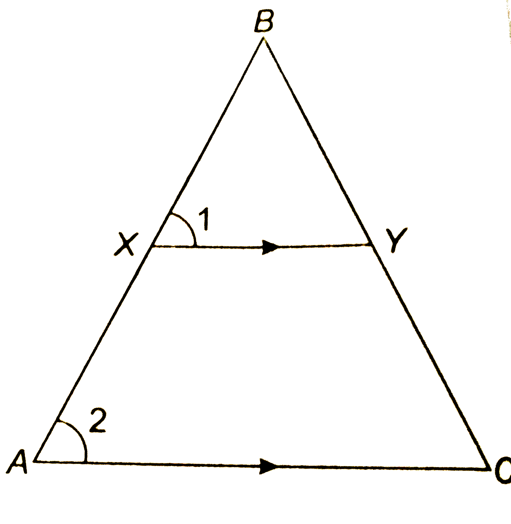 दिए हुए चित्र में रेखाखण्ड XY त्रिभुज  ABC की भुजा  AC के समान्तर है तथा इस त्रिभुज को वह बराबर क्षेत्रफलों वाले दो भागो में विभाजित करता है अनुपात  (AY)/(AB) ज्ञात कीजिये