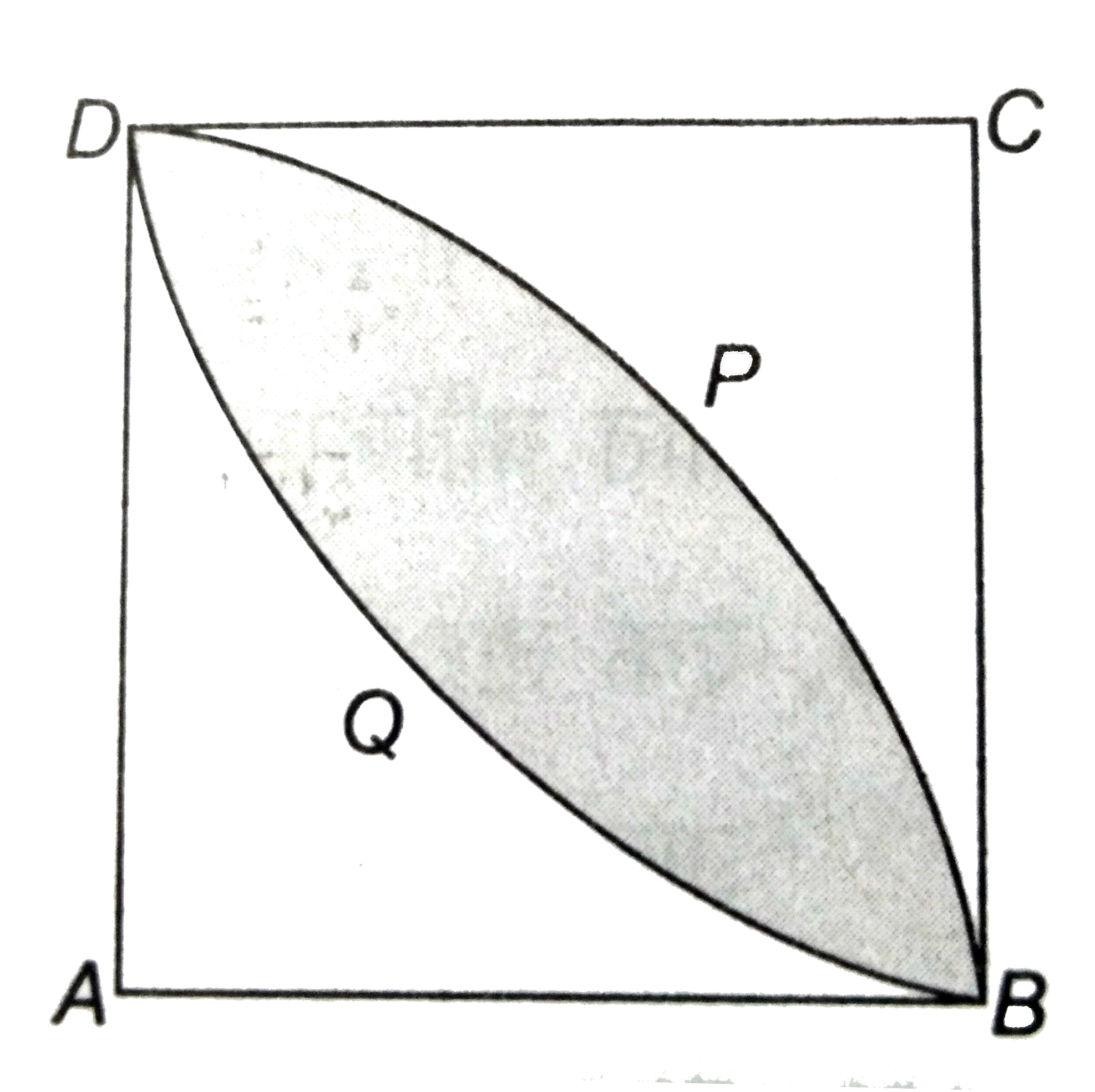 दी आकृति में , ABCD  7  सेमी भुजा का एक वर्ग  है । DPBA  और DQBC  प्रत्येक  7  सेमी त्रिज्या  के वृत्त के चतुर्थांश   है । छायांकित  भाग  का क्षेत्रफल  ज्ञात कीजिए ।