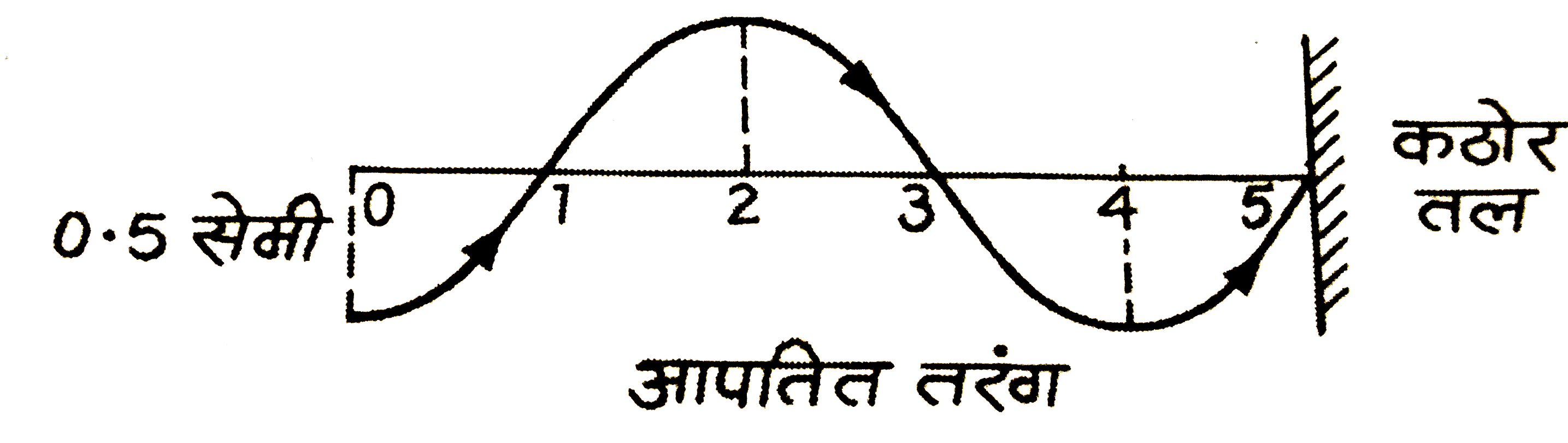 निम्न चित्र में कठोर तल पर आपतित तरंग (आयाम = 0.5 सेमी) को दिखाया गया है।      (i) कठोर तल द्वारा परावर्तित तरंग का चित्र बनाइए।   (ii) आपतित तथा परावर्तित तरंगो के अध्यारोपण से उत्पन्न परिणामी  तरंग का चित्र बनाइए।