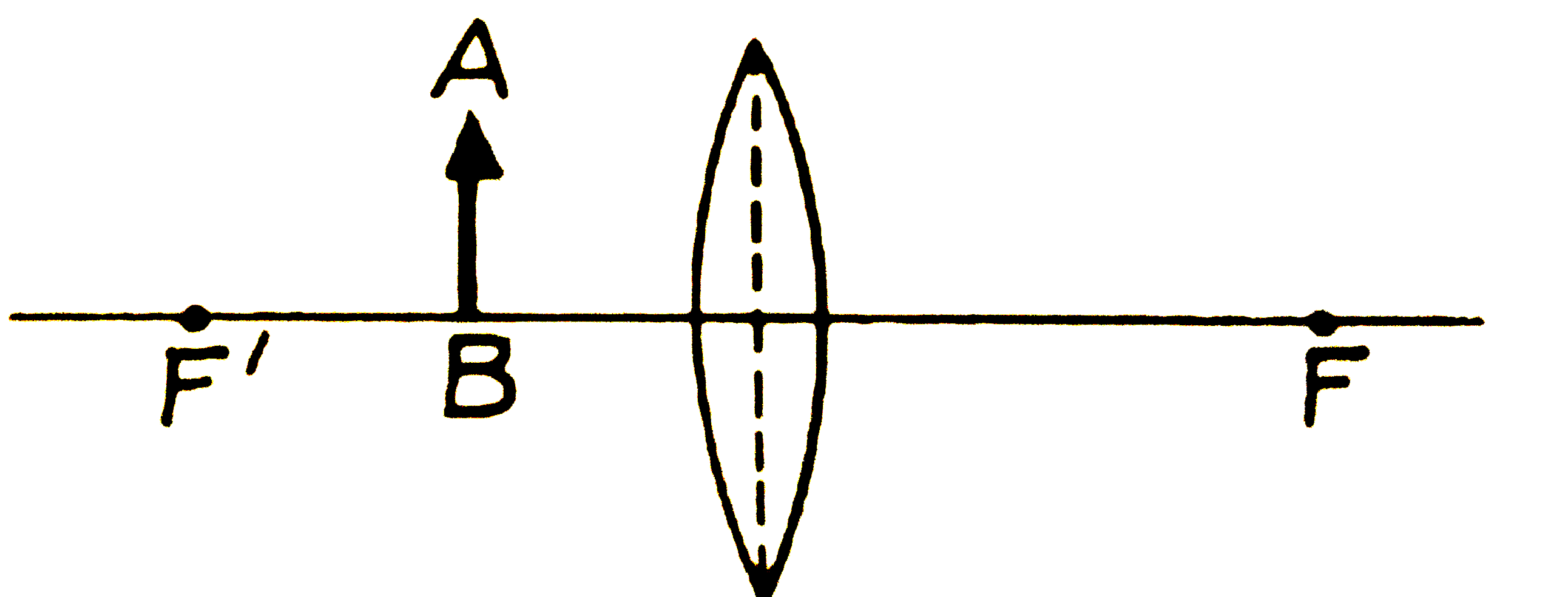 एक उत्तल लेन्स के समाने उसके प्रकाशिक -केन्द्र और फोकस के बीच एक वस्तु AB रखी है। किरण-आरेख खींचकर वस्तु AB का प्रतिबिम्ब बनाइए। प्रतिबिम्ब की प्रकृति सम्बन्धी तीन गुण  लिखिए ।