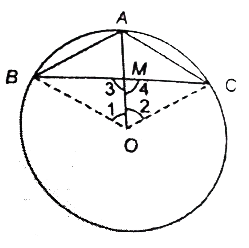 In figure, oversetfrown(AB)congoversetfrown(AC) and O is the centre of the circle,Prove that OA is the perpendicualr bisector of BC.