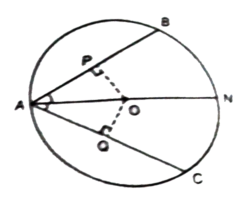 Prove that the chords inclined on the same angle to the radius or diameter of a circle are equal in length.