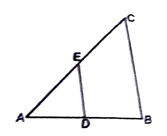 In the figure triangleABC~triangleAED. If AD=5 cm , AE= 6 cm, BC= 12 cm and AB = 15 cm. Determine AC and DE.