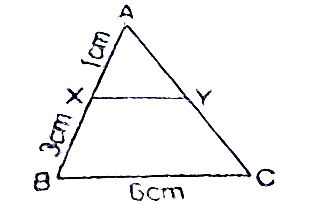 In the given figure , if XY||BC, find the length of XY.