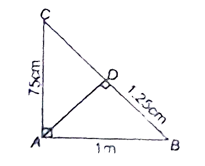 in the given figure angleCAB=90^(@) and AD bot BC. if AC= 75 cm , AB= 1m and BD= 1.25 m . Find AD.