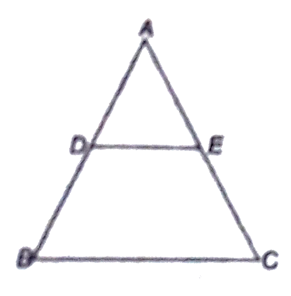 In the adjoining figure BC||DE. Area of  triangle= 25 cm^(2) .area of trapezium BCED= 24cm^(2) , DE= 14 cm, calculate length of BC.
