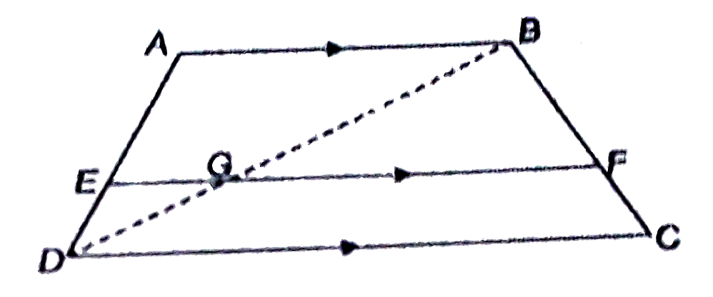 Any line parallel to the parallel sides of a trapezium divides the non-parallel sides proportionally.