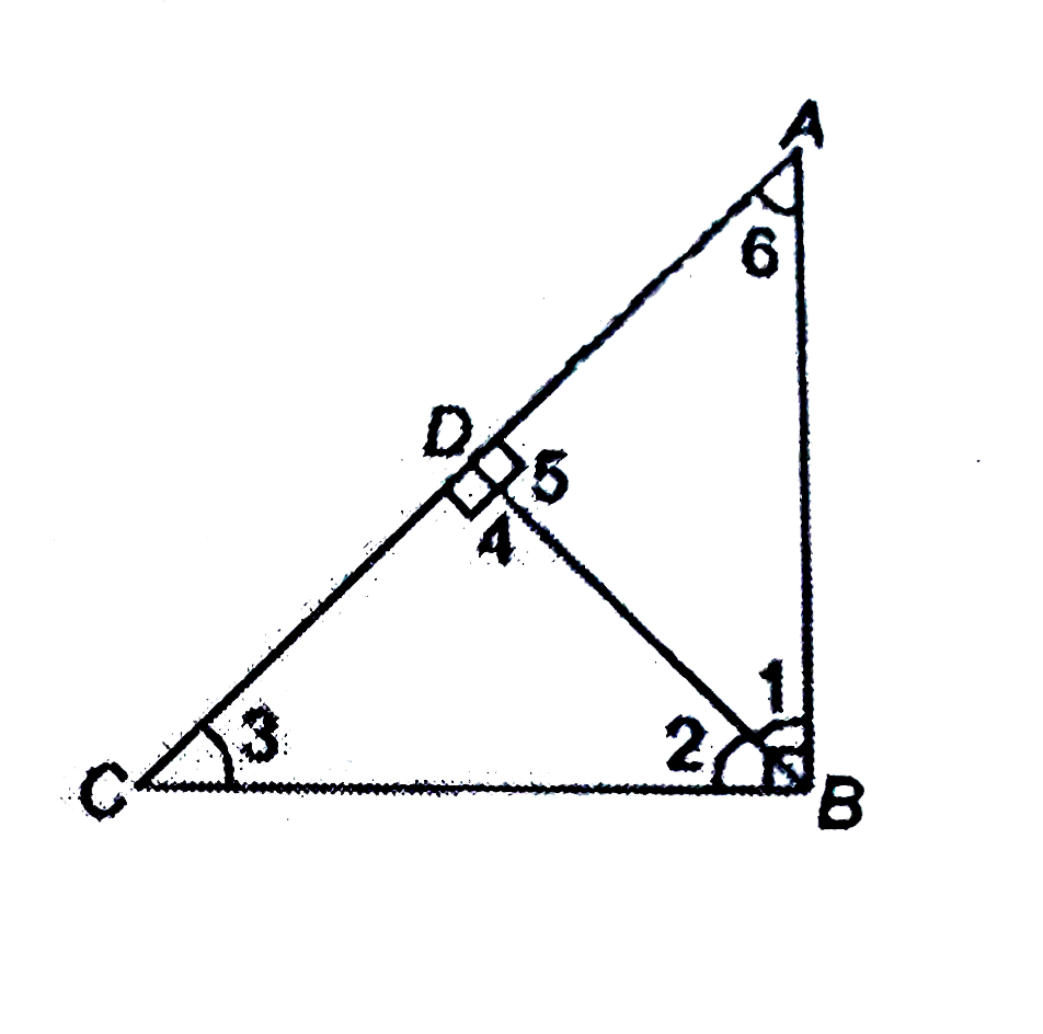 In the given figure if  angleB= 90^(@) and BD is perpendicular to AC then    prove that:    (i) triangleADB~triangleBDC (ii) triangleADB~triangleABC   (iii) triangleBDC ~ triangleABC (iv) BD^(2)= AD xx DC    (v) AB^(2)= AD xx AC (vi) BC^(2)= CD xx AC   (vii) AB^(2)+BC^(2)= AC^(2)