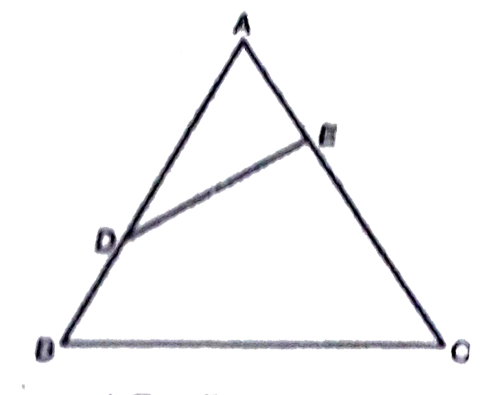 In the adjoining figure ADE and ABC are two similar triangles, point D divides AB in the raito 2:1 and point E divides AC in  the ratio 1:2 . If the area of triangleADE is 23 square units, then find the ar(squareDECB).