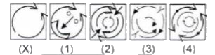 In each of the following questions, you have figure (X) followed by four alternative figures (1), (2), (3) and (4) such that figure (X) is embedded in one of them. Trace out the alternative figure, which contains figure (X) as it’s part.