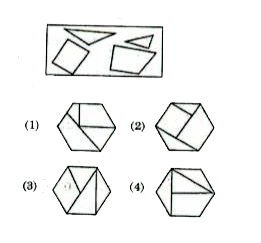 Among the four answer figures, which one can be formed from the cut out pieces given below in the Question Figure ?