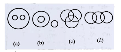 Organism, Human, Planet