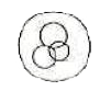 ocr_image