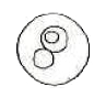 ocr_image