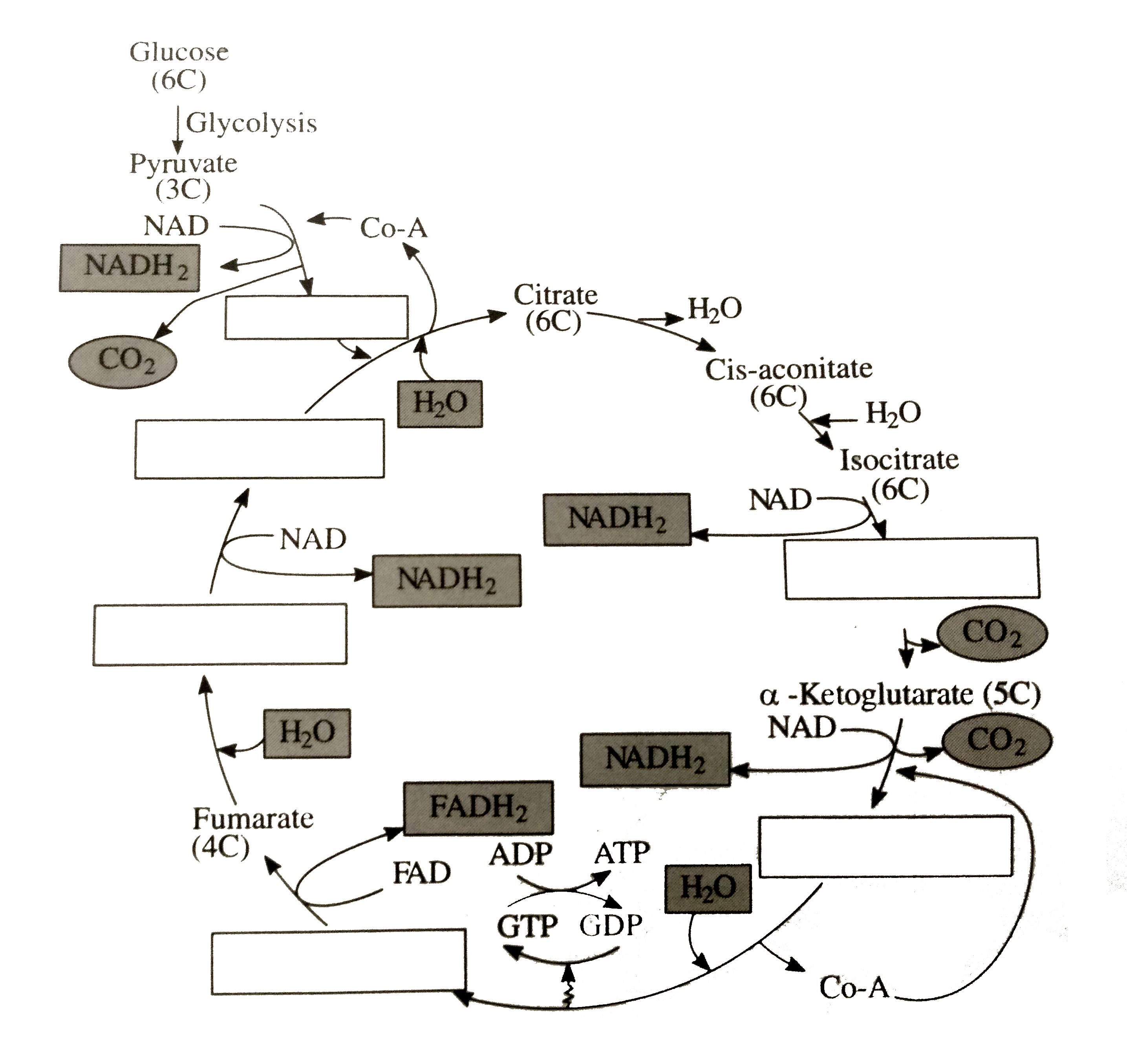 write-down-the-names-of-missing-intermediate-compounds-in-a-sequence-i