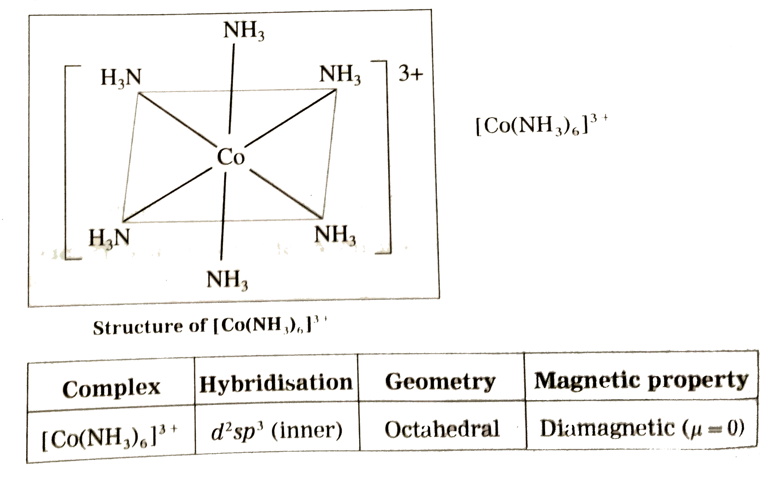 ocr_image