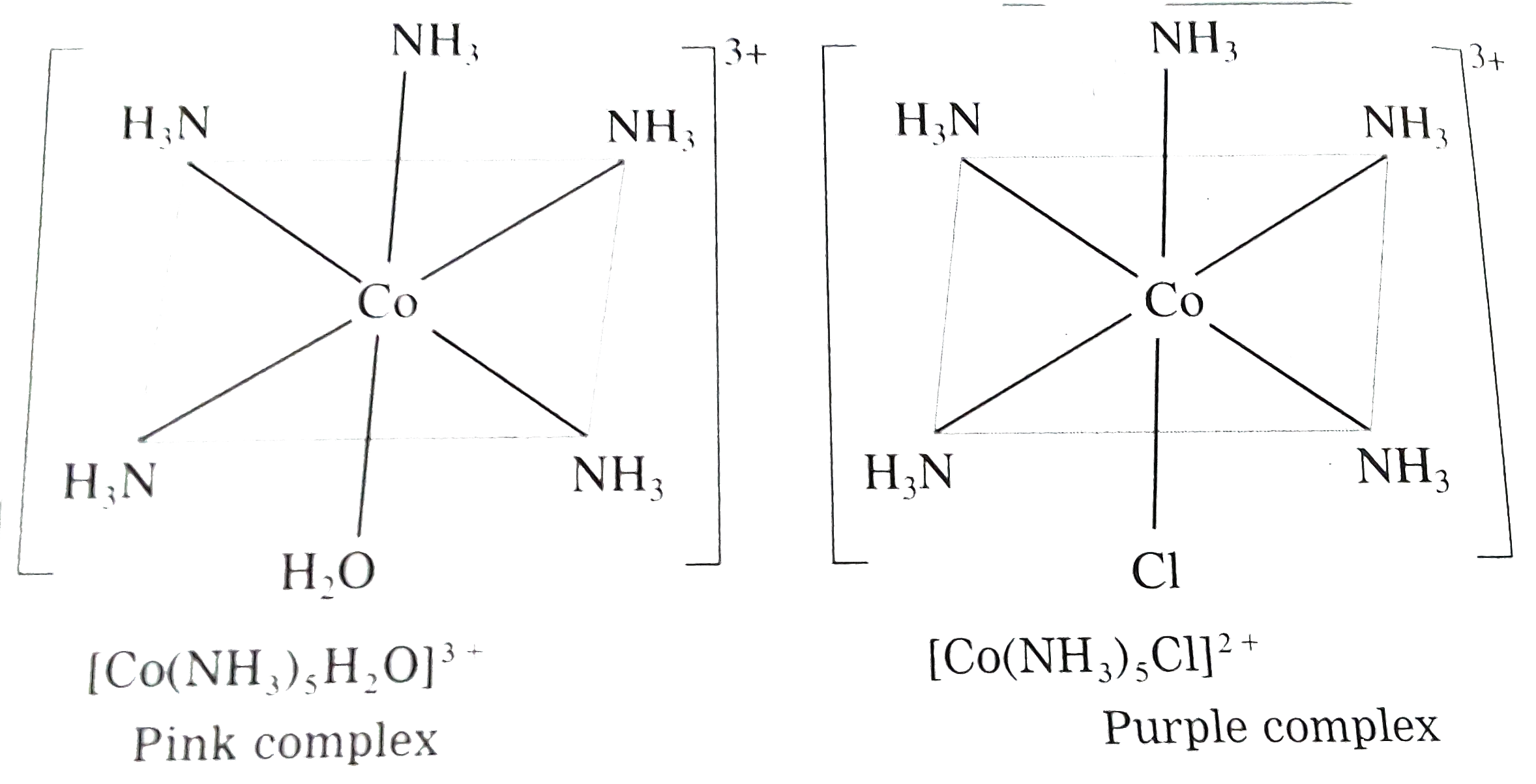 cocl-3-5nh-3-h-2-o-is-a-pink-solid-the-solution-of-this-salt-is-a