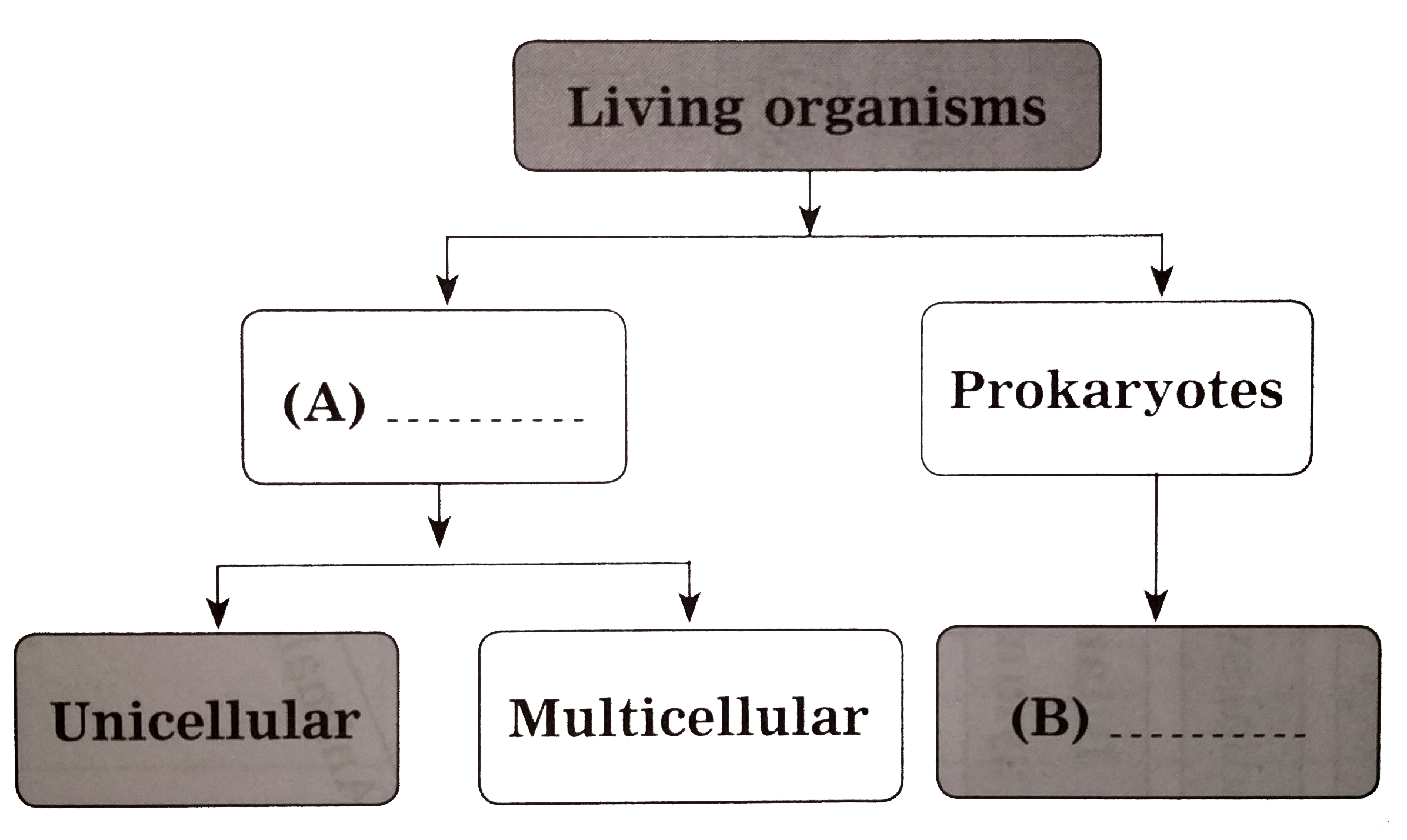 Complete the following flow-chart.