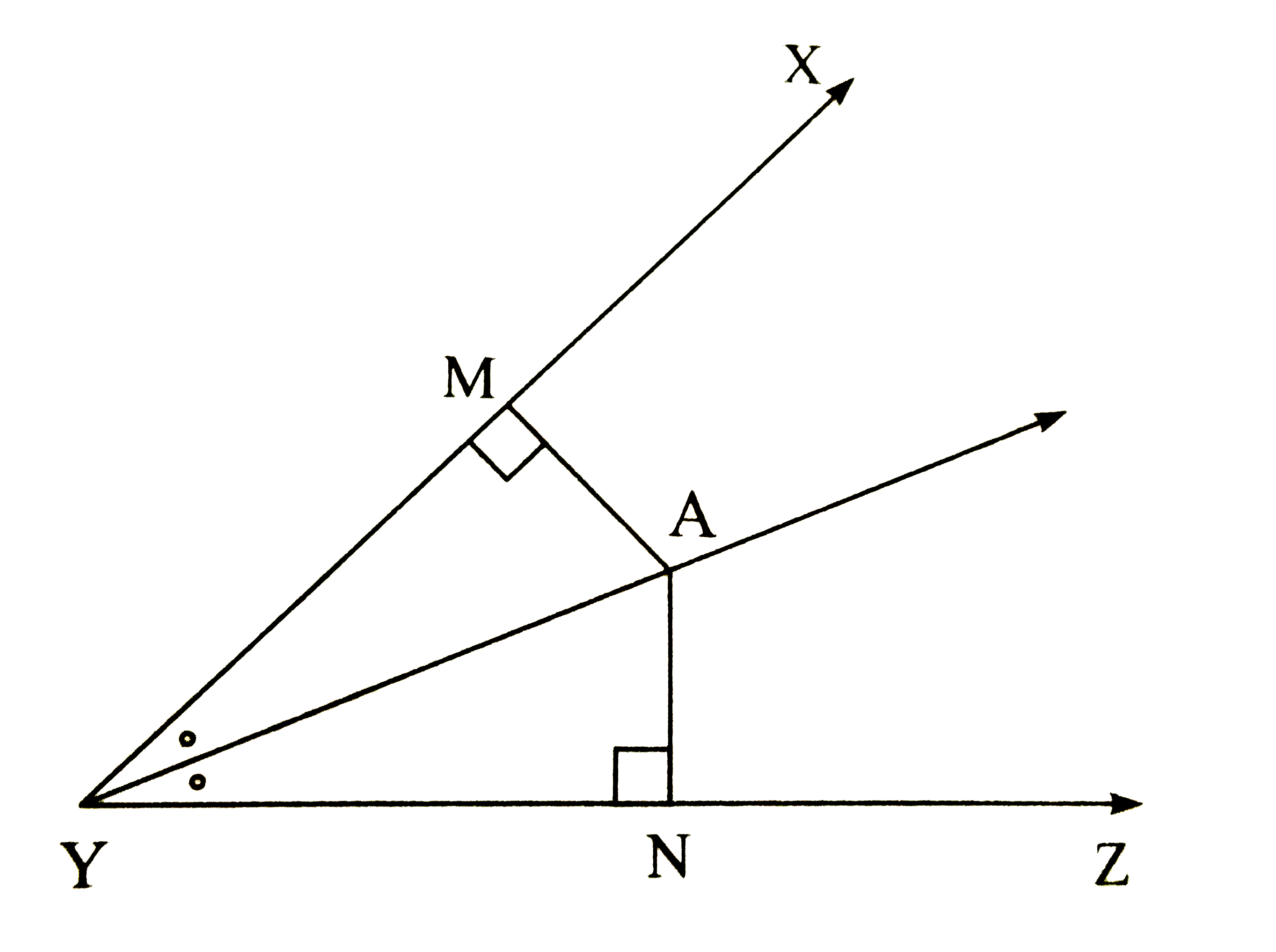 In the figure , ray YA is the bisector of  angle XYZ if  AM =2 cm then  find AN. Justify .