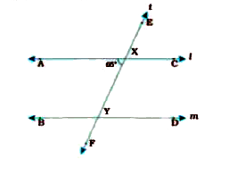 In the following l II m and t is their transversal. If angleAXY=65^(@), find angleBYF,angleXYD,angleEXC and angleYXC.