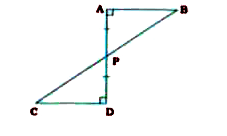 In the given figure, AB and DC are both perpendicular to line segment AD. BC intersects AD at P and P is the midpoint of AD. Prove that, ( 1 ) AB = CD ( 2 ) P is the midpoint of BC.