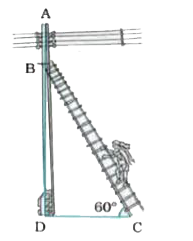 An electrician has to repair an electric fault on a pole of height 5m. She needs to reach a point 1.3m below the top of the pole to undertake the repair work (see the given figure). What should be the length of the ladder that she should use which, when inclined at an angle of 60^(@) to teh horizontal, would enable her to reach the required position? Also, how far from the foot of the pole shoudl she place the foot of the ladder? (you may take sqrt3= 1.73)