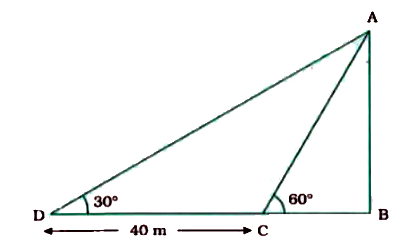 The shadow of a tower standing on a level ground is found to be 40m longer when the sum's altitide is 30^(@) than when it is 60^(@). Find the height of the tower.