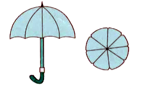 An umbrella has 8 ribs which are equally spaced (see the given figure). Assuming umbrella to be a flat circle of radius 45 cm, find the area between the two consecutive ribs of the umbrella.